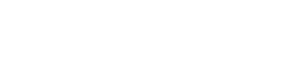 N1Sport
